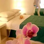Antithesis Caldera Cliff Santorini Hotell